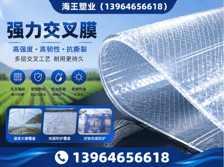 诸城市长丝聚酯胎展示图